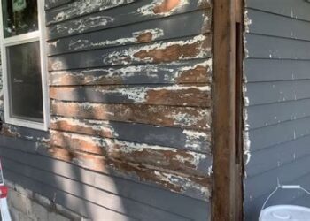 painting cedar siding after rain - Larae Medeiros