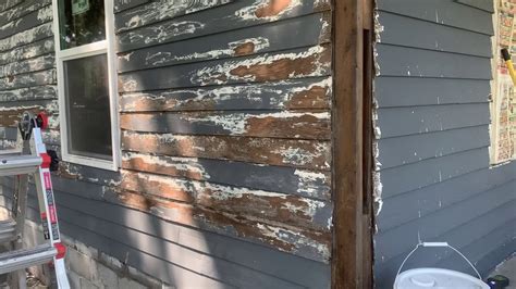 painting cedar siding after rain - Larae Medeiros